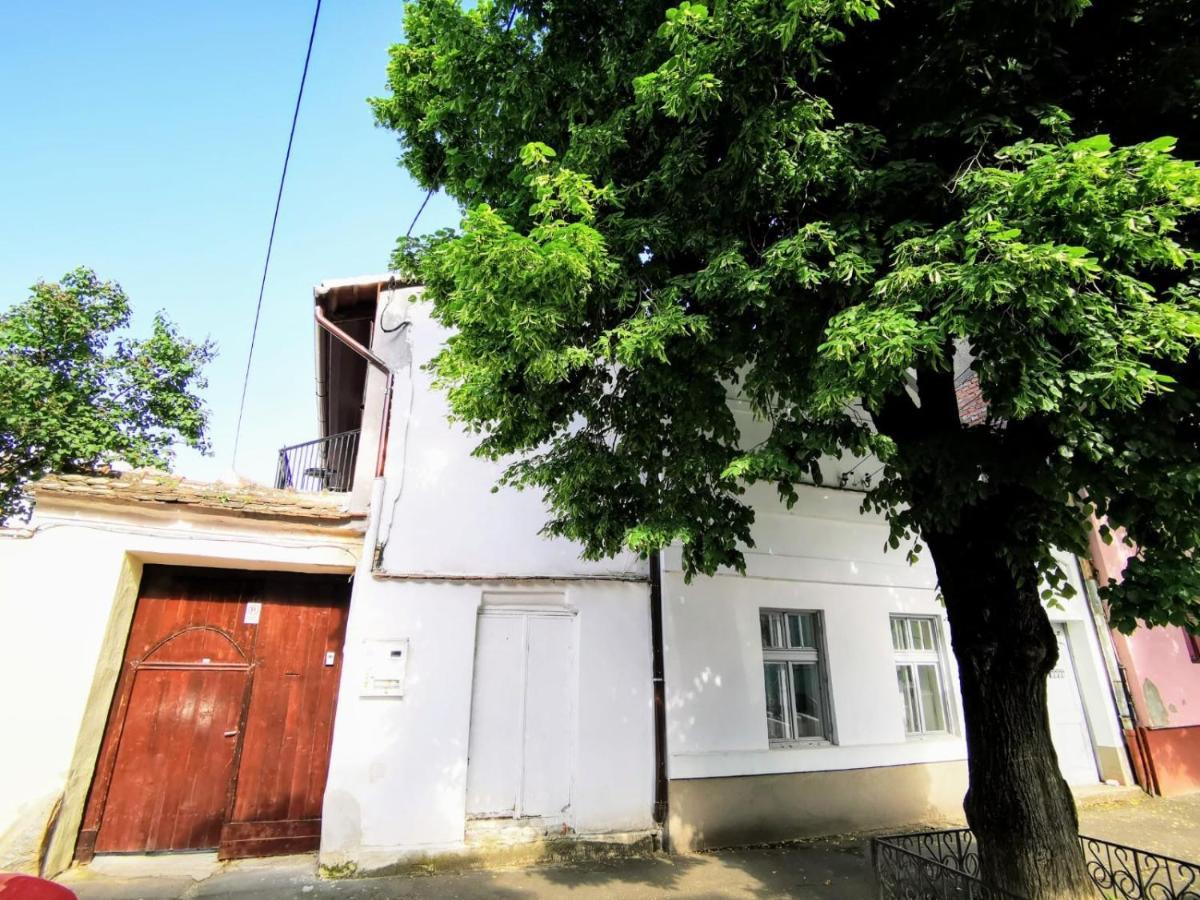 Studio Sibiu Eksteriør bilde
